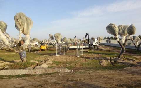 Gasdotto Tap, le ragioni del